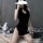 Elegant black high-slit qipao dress with feather fan, perfect nightwear for adults.