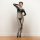 Woman modeling a sheer mesh lace bodysuit with rhinestone embellishments, featuring a transparent design and full-body corset...