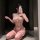 Woman wearing shuyao sensual lace bodysuit, sheer mesh tight-fit erotic lingerie with pink ruffles and bow details.
