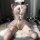 Transparent lace lingerie set featuring a sexy maid costume design, perfect for seductive and flirty bedroom outfits.