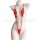 Womens sexy lace bodysuit - ice silk sleepwear set, all-in-one nightwear for comfort & style