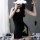 Womens sexy qipao lingerie set - seductive high-slit nightwear with lace cutouts, elegant & alluring