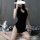 Womens sexy qipao lingerie set - seductive high-slit nightwear with lace cutouts, elegant & alluring