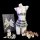 Womens sexy school uniform lingerie set with plaid sheer top and skirt, styled as a cute jk bedroom outfit.