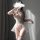 Woman wearing sheer lace bodysuit with puff sleeves and bow details, part of romantic lingerie nightwear set.