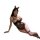Woman in black yaqin nu catwoman lingerie set with bunny ears, sheer bodysuit and fishnet stockings for sensual bedroom wear.