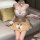 Sexy new year lingerie set featuring cute plush bear design, perfect anime costume for women, nightclub no-remove outfit.